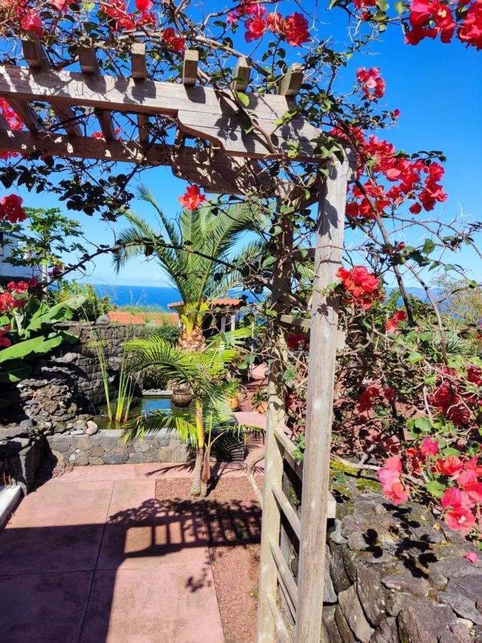 A Fonte * Santo Antonio (Pico Island)