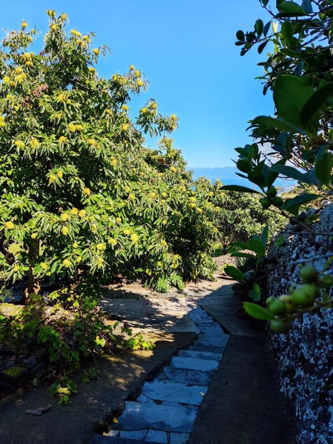 Apartment A Fonte Santo Antonio (Pico Island)