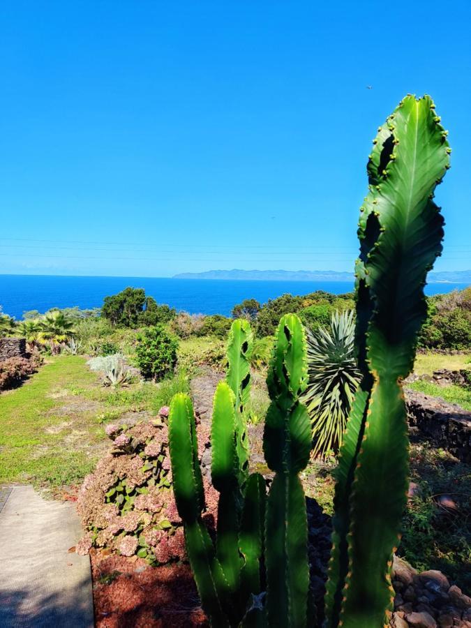 A Fonte Apartment Santo Antonio (Pico Island)