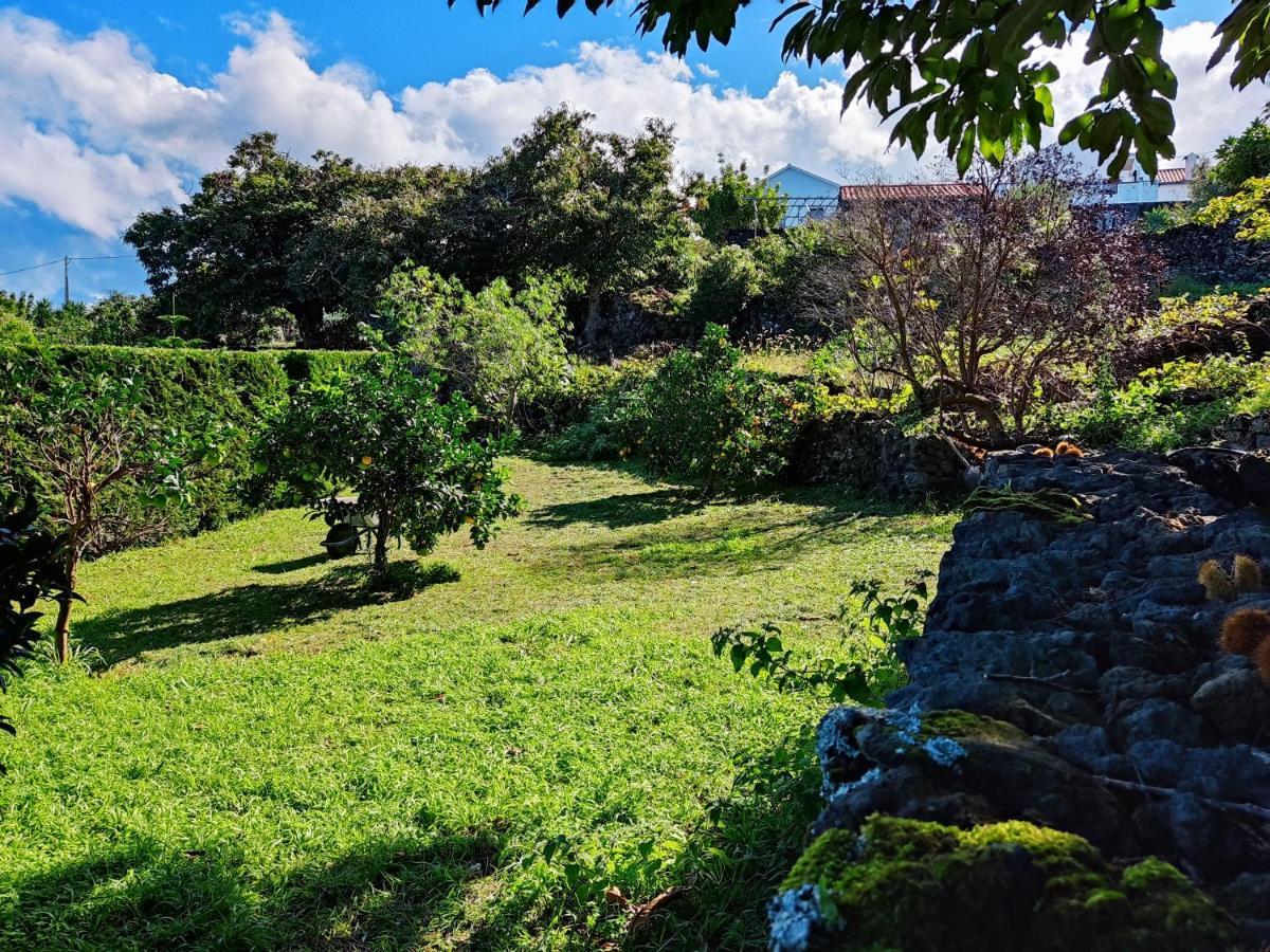 A Fonte * Santo Antonio (Pico Island)